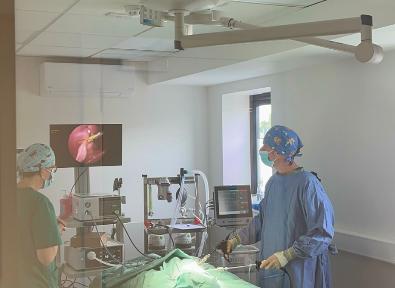 Surgery